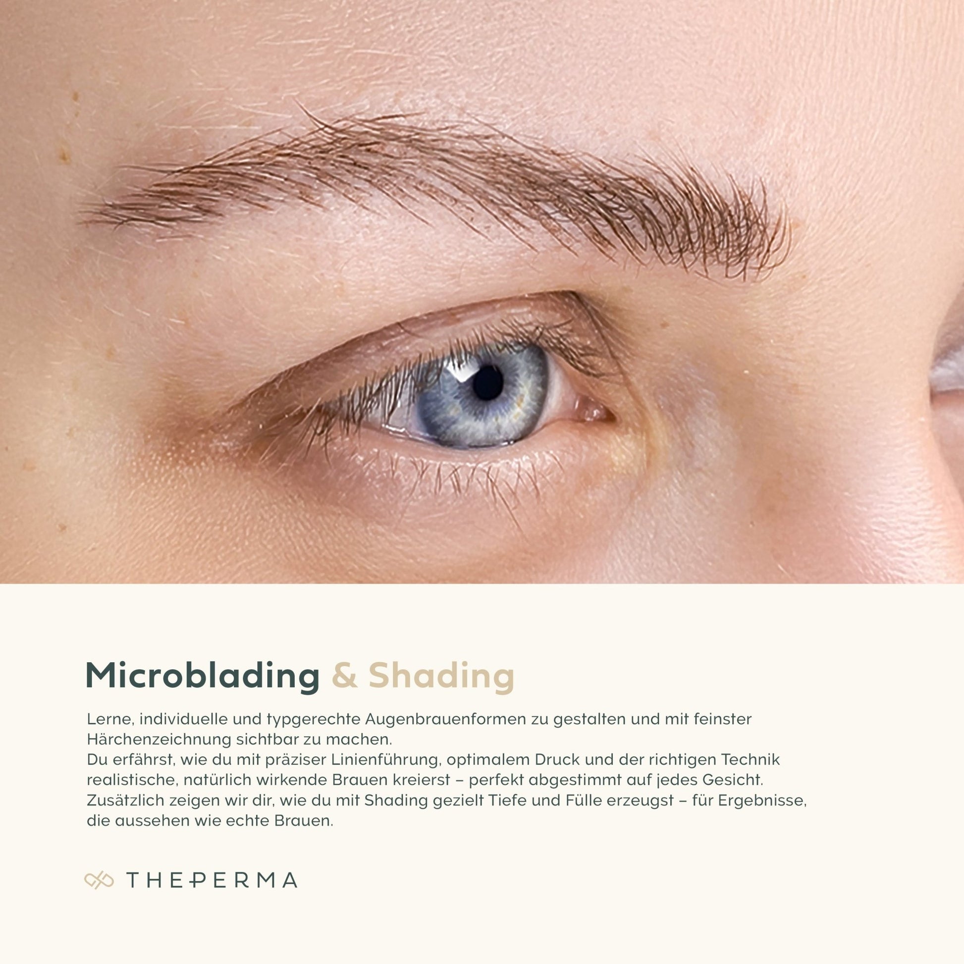 The Perma Microblading & Shading Online Training with Starter Kit - The Perma