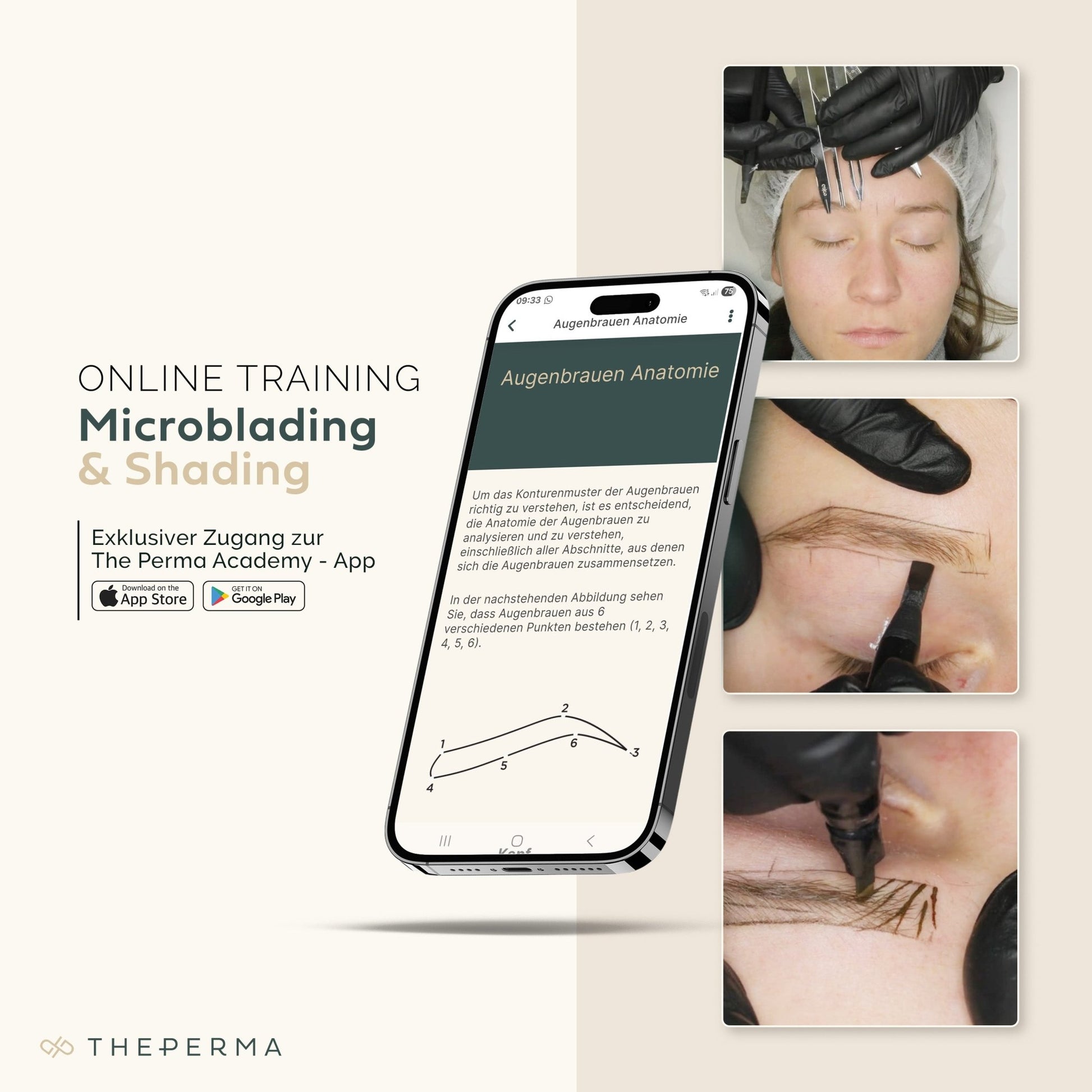 The Perma Microblading & Shading Online Training with Starter Kit - The Perma