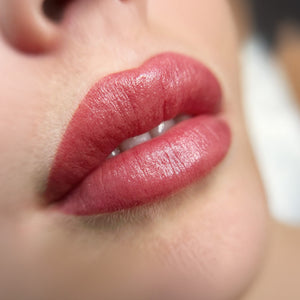 PMU Lips Kurs
