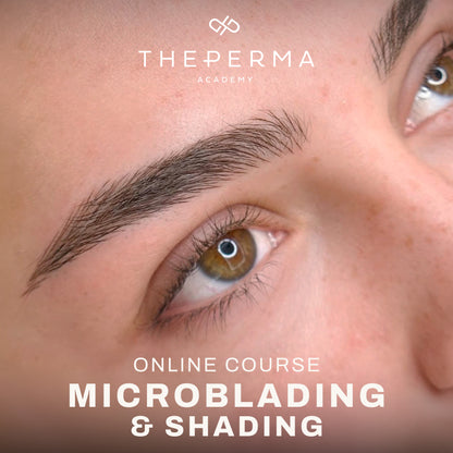 Microblading & Shading Basiskurs