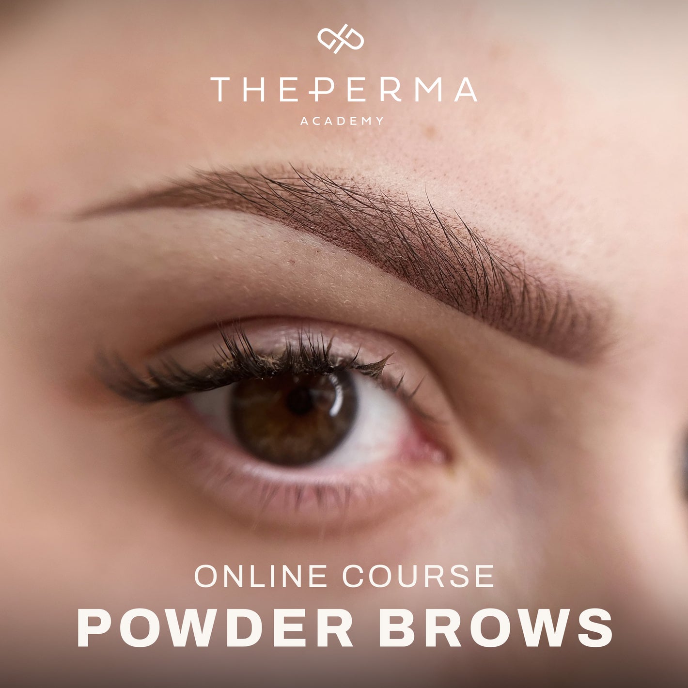 Powder Brows Kurs