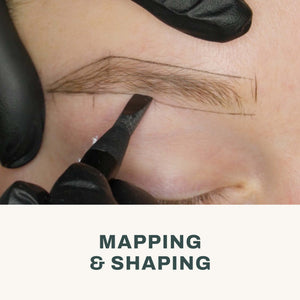 Microblading & Shading Basic Course - The Perma