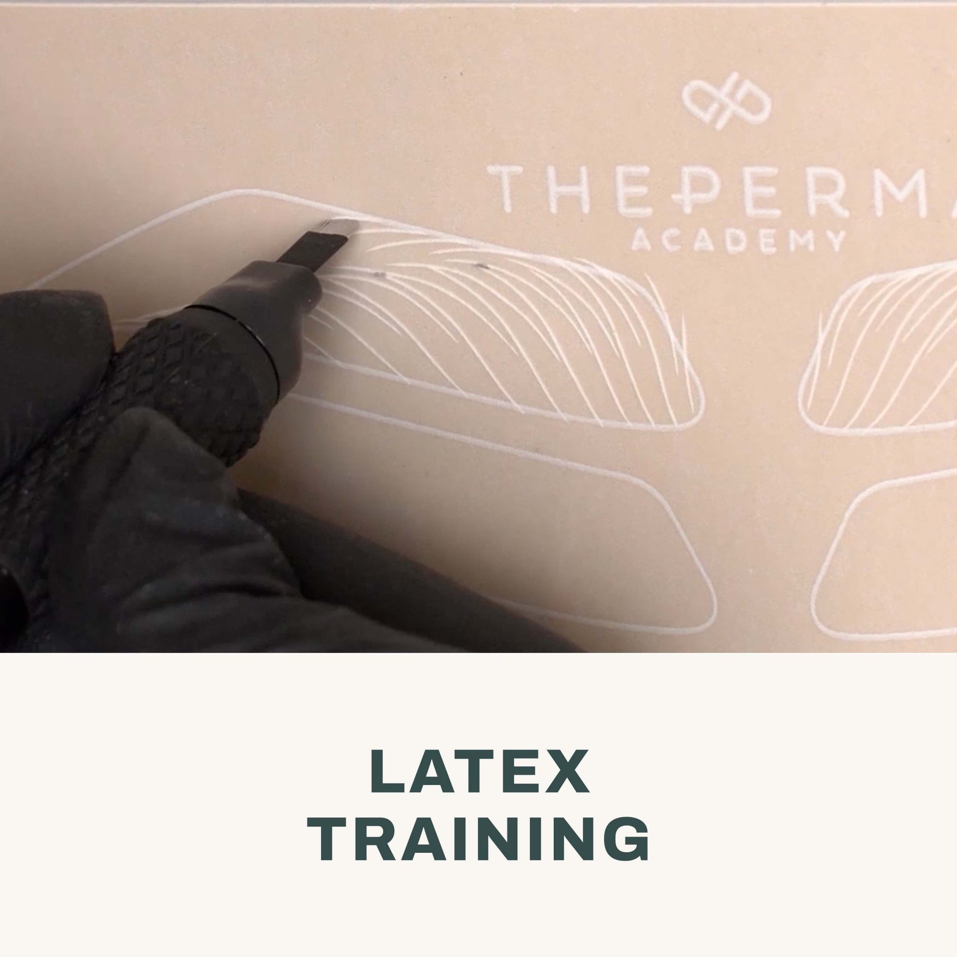 Microblading & Shading Basic Course - The Perma