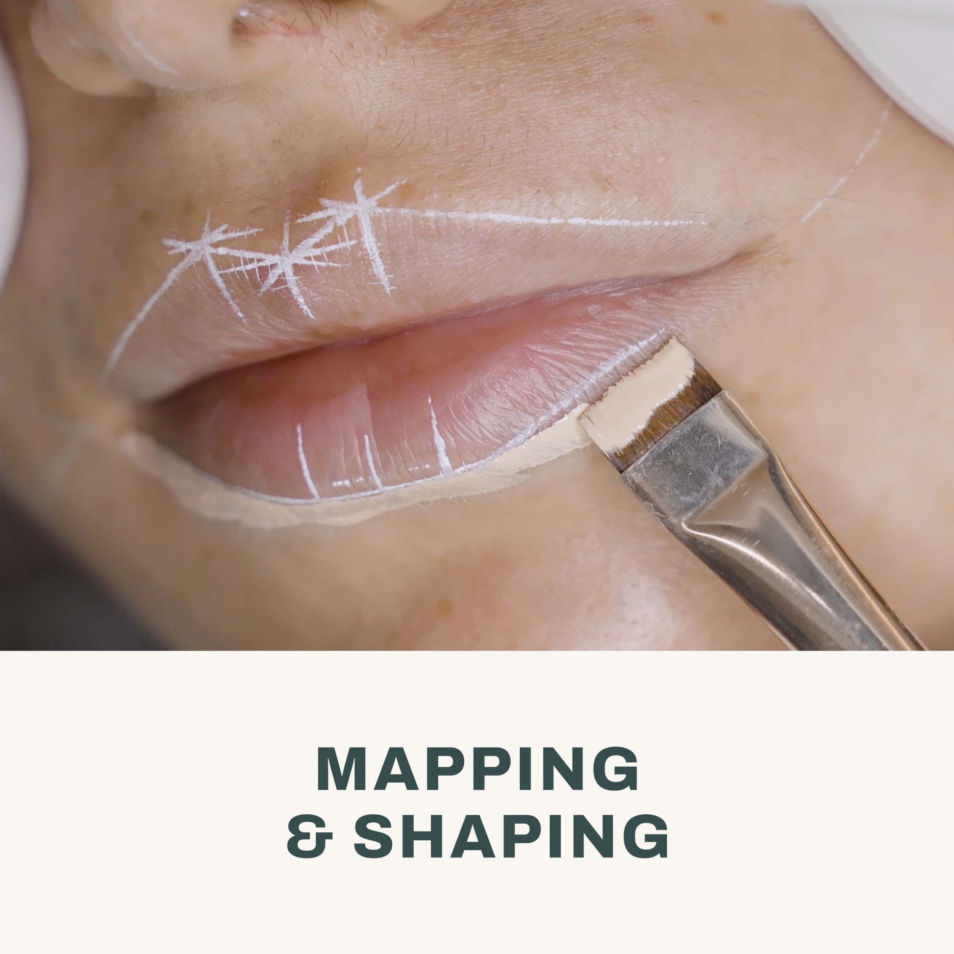 PMU Lips Course - The Perma