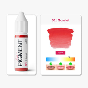 The Pigment - 01 Scarlet - 15ml - The Perma