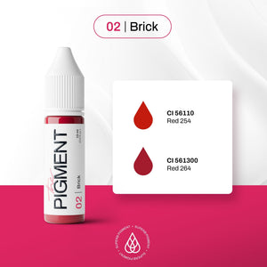 The Pigment - 02 Brick - 15ml - The Perma