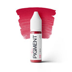The Pigment - 02 Brick - 15ml - The Perma